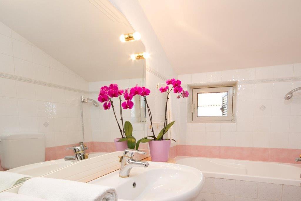 Villa Sveta Eufemija Bed End Breakfast I Rovinj Extérieur photo